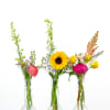 Three small flower arrangements in clear glass vases with bright mixed blooms