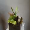 A compact, sculptural succulent arrangement that feels modern and meditative-perfect as a
