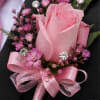 A single pale pink rose takes center stage in this pink rose