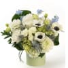 Soft coastal calm meets refined sympathy in this Fort Lauderdale Shoreline flower