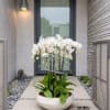 Twelve Luxury White Phalaenopsis orchid Arrangement designed for gifting with a Natural