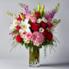 Moonlight Sonata is a stunning medley of romance and elegance. Deep red