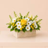 A fresh and uplifting flower arrangement featuring a soft yellow rose as