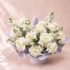 Inspired by Selene, the Greek goddess of the moon, this arrangement reflects