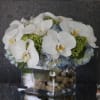 Luminous white phalaenopsis orchids arch gracefully over pale blue hydrangea clusters in