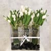 A dense cluster of white tulips arranged in a clean, modern silhouette