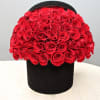 Dome of red roses arranged in a round black hatbox-style container