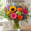 An animal and pet friendly option for those with furry friends. Perfect