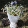 Bright, fresh, and full of charm, Cup of Sunshine features a joyful