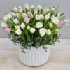 White and pale pink tulips in a white textured ceramic pot with lush foliage
