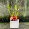 Each statuesque stem will hold three to five individual blooms at the