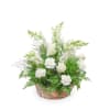 Serene Reflections Basket is a timeless expression of sympathy, thoughtfully designed to