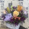 Concrete Planter Arrangement