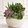 Bring lasting beauty indoors with the Desert Harmony Succulent Garden&trade;. This elegant