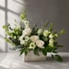 Sanctuary is a floral expression of calm. Soft white roses, delicate lisianthus