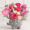 Welcome the newest little blessing with Hello Sweet Baby Girl&trade;, a heartwarming