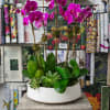 Pink orchid arrangement in a white bowl planter with succulents