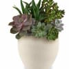 Honor Dad with Teleflora's Modern Stone Succulent Garden, a clean, contemporary display