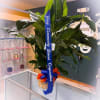 Large potted green plant with a blue ribbon and bow
