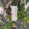 Decorative memorial sign hanging from a tree branch