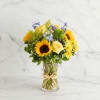 Inspired by the colorful charm of the European countryside, our best-selling summer