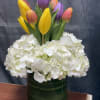 Say hello to Tulip Kisses  a delicate blend of tulips and