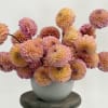 Calling all dahlia lovers!  This seasonal summer arrangement can come in