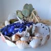 Coastal-themed succulent dish garden with blue glass stones and assorted seashells