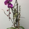 Purple orchid blooms with a succulent and twig accents in a container