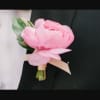 Pink boutonniere with a ribbon tie