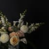 Soft peach and white flowers arranged in a white vase against a dark background.