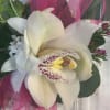 White orchid bouquet with pink ribbon and greenery