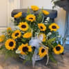 A dense cluster of bright yellow sunflowers-their dark centers drawing the eye-creates