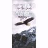 &bull; &ldquo;Those who hope in the Lord will soar on wings like