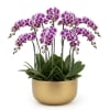 Purple orchids in a gold pot