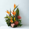 Bold, modern, and undeniably striking, this tropical arrangement brings a touch of