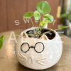 A playful, cat-faced ceramic pot paired with a lively, little pilea plant.
