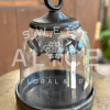 Fun, quirky, glass cloche featuring a hanging, black bat.  Create a