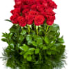 A bouquet of red roses with dense green foliage