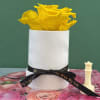 Yellow roses in a white hatbox with a black ribbon
