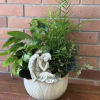 Potted green houseplants with a small angel figurine in a ceramic planter
