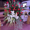Vivid red roses clustered against a deep bed of greenery create an