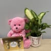 Pink teddy bear with chocolates and a potted plant in a love-themed mug