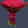 Bouquet of bright pink roses wrapped in burgundy paper with a ribbon