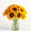 Sunflowers paired with solidago in a clear glass vase

