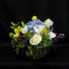 Age of Aquarius is a fresh, uplifting compact arrangement with soft whites