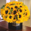 25 Premium Sunflowers