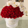 50 Fresh Roses with a stem of premium orchids in our Signature