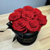 Mini black velvet box with 8 Everlasting roses. Everlasting roses are real