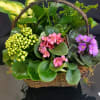 Basket garden of lush green plants with pink and purple flowering plants in a rustic handled basket.